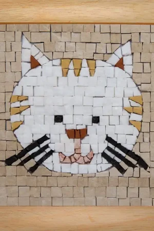 Uitverkoop Mosaicbox - Mozaiek DIY Kat met lijst 17 cm