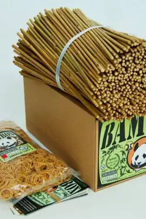 Bouwen met bamboe - 500 stuks bamboestokjes 30 cm Snelle Levering