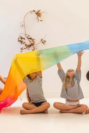 Direct Beschikbaar Sarah's Silks reuze speelzijde regenboog