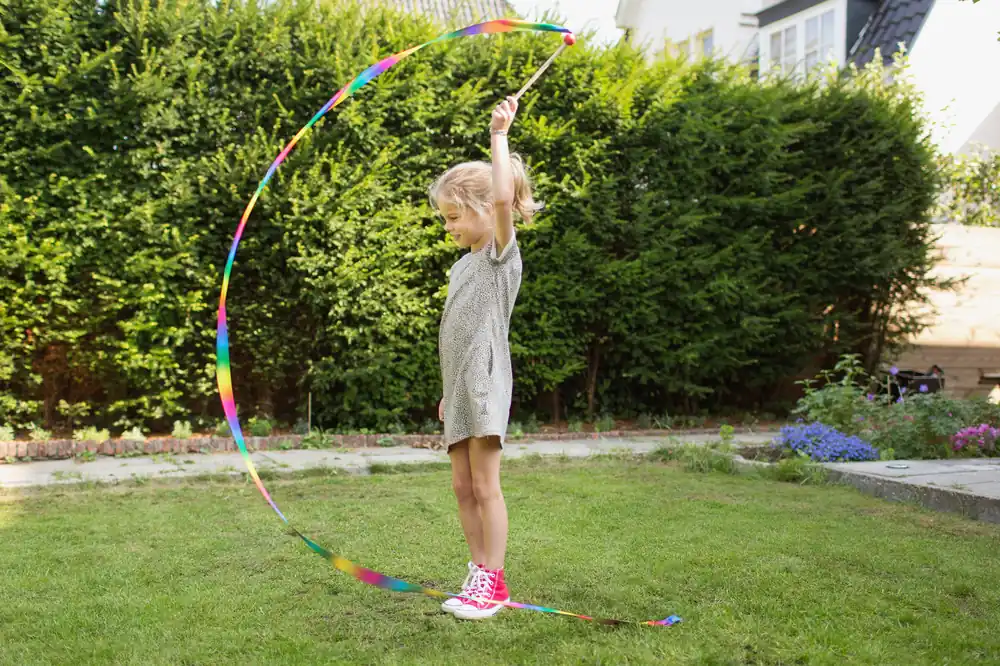 Laatste Kans Danslint van BS Toys
