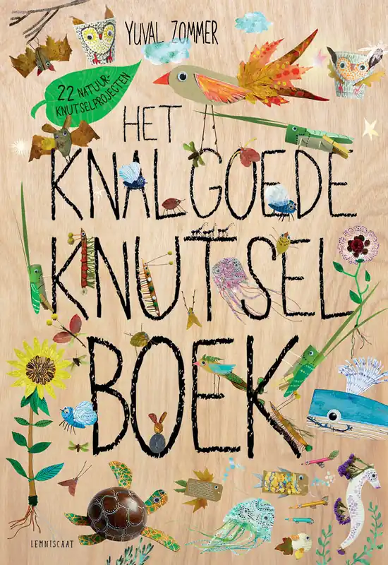 Lemniscaat Het knalgoede knutselboek Gereduceerde Prijs