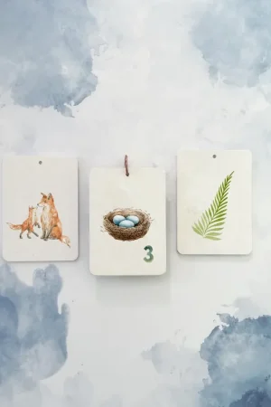 Shop Nu In A Flash kaartset woodland Friends