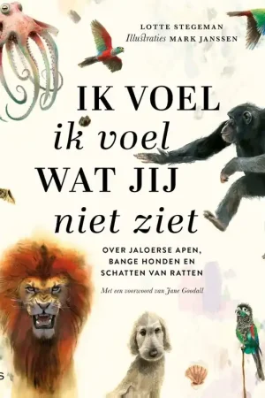 Must-Have Ik voel ik voel wat jij niet ziet, vanaf 8 jaar