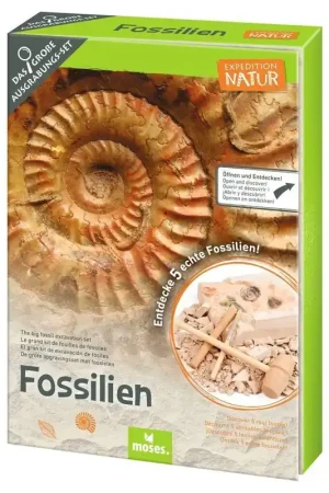 Beperkte Voorraad Expeditie Natuur Uithakset fossielen