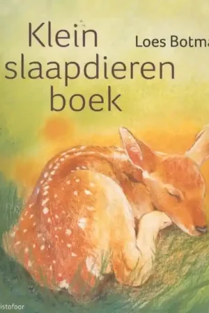 Klein slaapdierenboek kartonboekje vanaf 1 jaar Fabrieksprijs