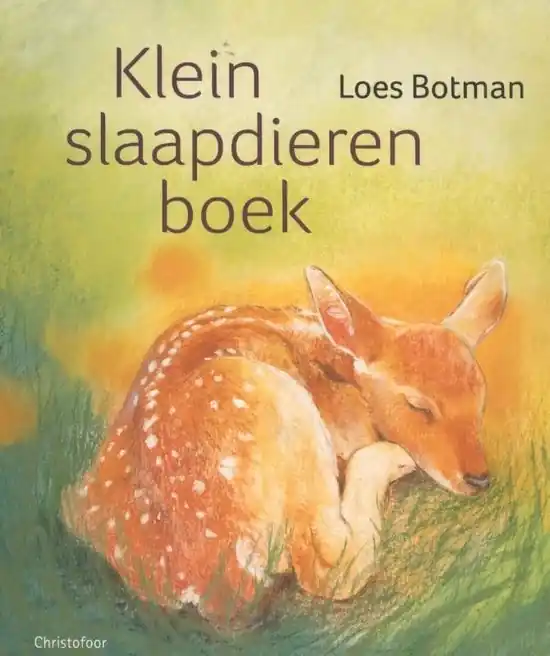 Klein slaapdierenboek kartonboekje vanaf 1 jaar Fabrieksprijs