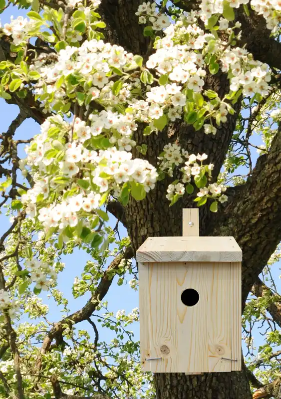 Kids at Work nestkastje 02 voor vogels DIY Flitsaanbieding