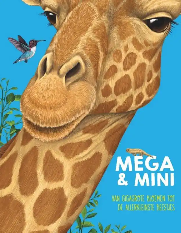 Meest Verkocht Mega & Mini, vanaf 6 jaar