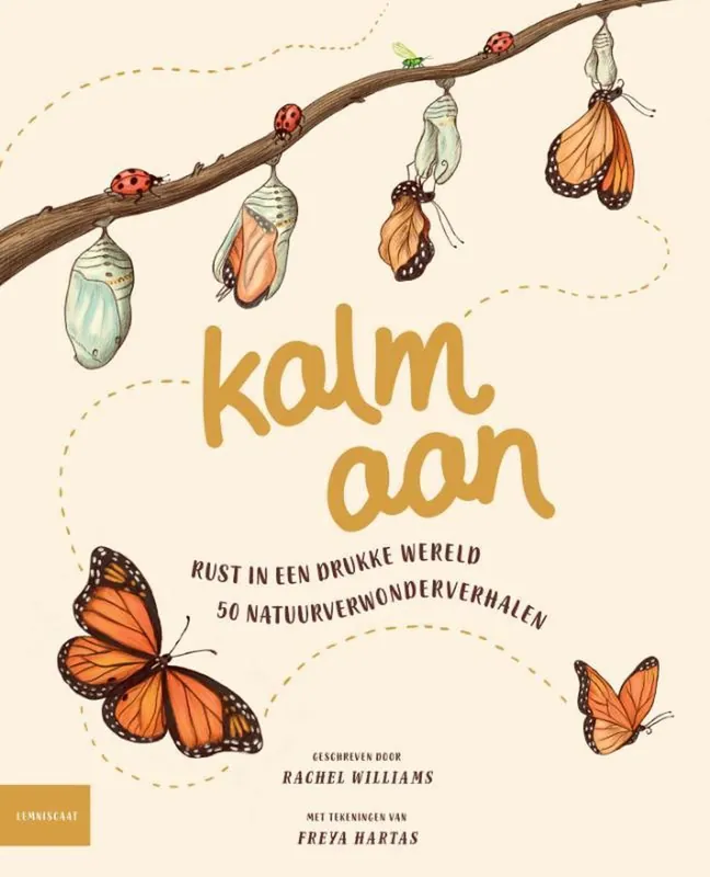 Laatste Versie Lemniscaat - Kalm aan, vanaf ca 8 jaar