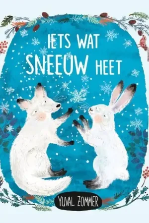 Betrouwbaar Christofoor Iets wat sneeuw heet, vanaf 3 jaar
