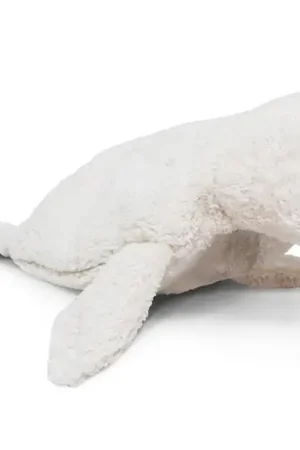 Senger Knuffel met warmtekussen, Zeehond Wit Klein Snelle Levering