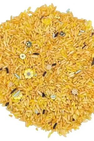 Uitverkoop Grennn Speelrijst Bijen 750 Gram