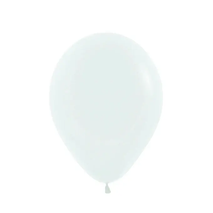 Hoge Kwaliteit Little Botanic Label Sensorische Ballonbal - Extra Natuurlatex Ballonnen - 6 Stuks