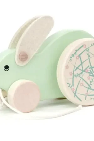 Beperkte Voorraad Bajo Houten trekdier, konijn, mint