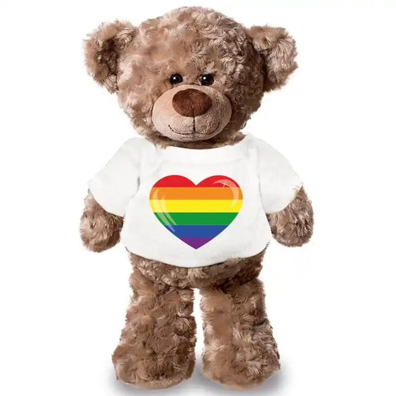 Pride teddybeer knuffel - pluche - 43 cm - met shirt Beperkte Voorraad