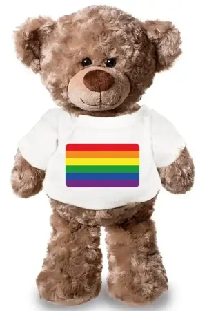 Uitverkoop Pride teddybeer - pluche - 43 cm - met shirt