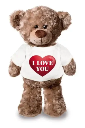 Dagaanbieding Knuffel teddybeer hartje - pluche - 43 cm - met shirt
