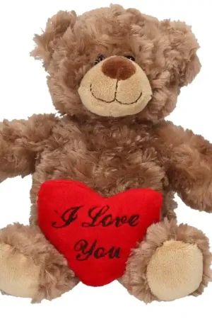 Betrouwbaar Bruin pluche knuffelbeertje - I Love You hartje - 24 cm
