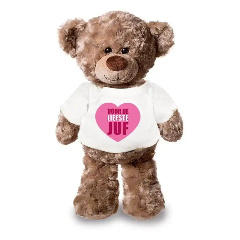 Liefste juf knuffelbeer - pluche - 24 cm - met shirt Beste Prijs