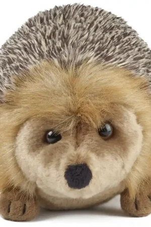 Egel knuffel - pluche - bruin - 23 cm - egeltje Beste Prijs
