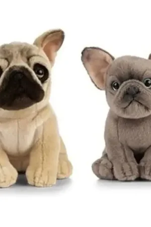 Franse Bulldog knuffel set - pluche - 15 en 25 cm - speelgoed Koop Online