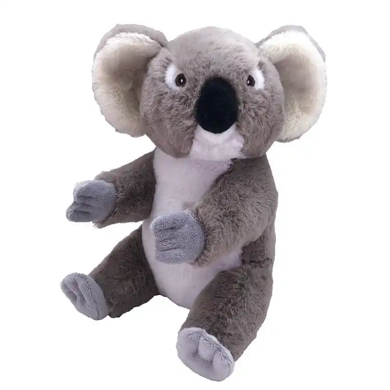 Goedkoop Pluche koala knuffel - 30 cm - Australische dieren - knuffeldier