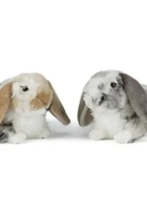Betrouwbaar Set van 2 pluche hangoor konijnen knuffels - 30 cm - zacht