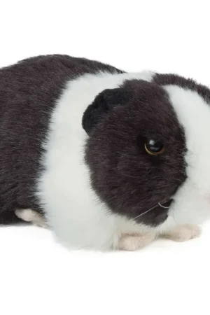 Cavia knuffel - pluche - 20 cm - zwart - speelgoed Direct Beschikbaar