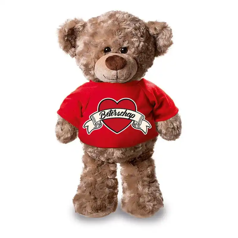 Teddybeer knuffel - beterschap - pluche - 24 cm - shirt Direct Verzonden