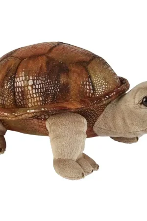 Beste Prijs Land schildpad knuffel - pluche - 32 cm - dierencadeau