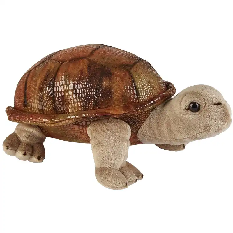 Beste Prijs Land schildpad knuffel - pluche - 32 cm - dierencadeau