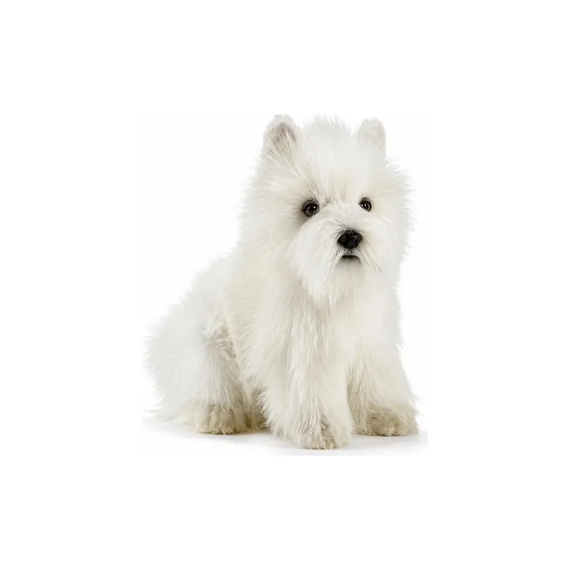 Hansa West Highland Terrier knuffel - pluche - 23 cm - Westie Laatste Versie