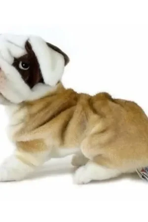 Op = Op Hansa bulldog knuffel - pluche - 30 cm - hondenknuffel