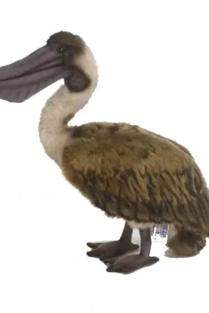 Beste Prijs Hansa bruine pelikaan knuffel - pluche - 38 cm - vogelknuffel