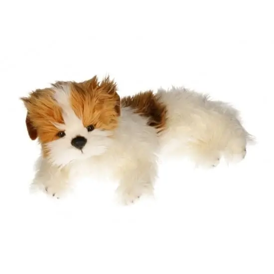 Beste Prijs Carl Dick Yorkshire terrier knuffel - pluche - 42 cm - bruin/wit
