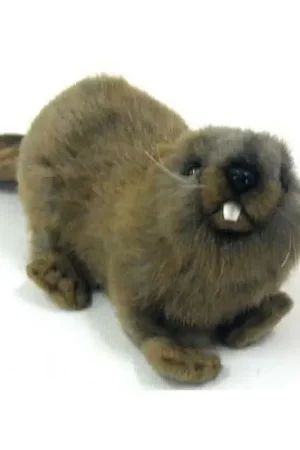 Hansa bever knuffel - pluche - 20 cm - beverknuffel Hoge Kwaliteit