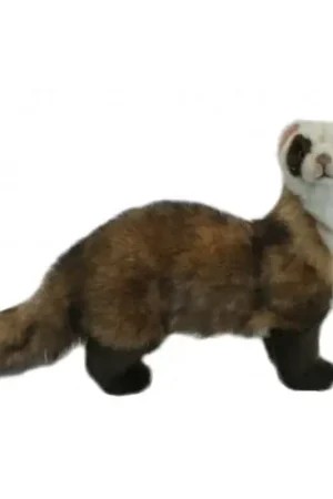 Betaalbaar Hansa fret knuffel - pluche - 35 cm - dierenknuffel