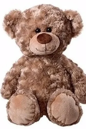 Direct Verzonden Pluche beer - knuffel - bruin - 45 cm - zacht beertje