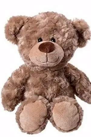 Pluche teddybeer knuffel - 35 cm - zacht speelgoed Must-Have