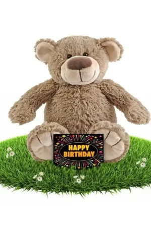 Laatste Kans Verjaardag knuffel beer beige - pluche - 22 cm - cadeau