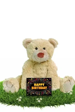 Lage Prijs Happy Horse Boogy knuffelbeer - pluche - 35 cm - cadeau