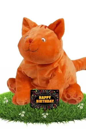Actieprijs Dikkie Dik knuffel - 43 cm - verjaardagscadeau - gratis kaart