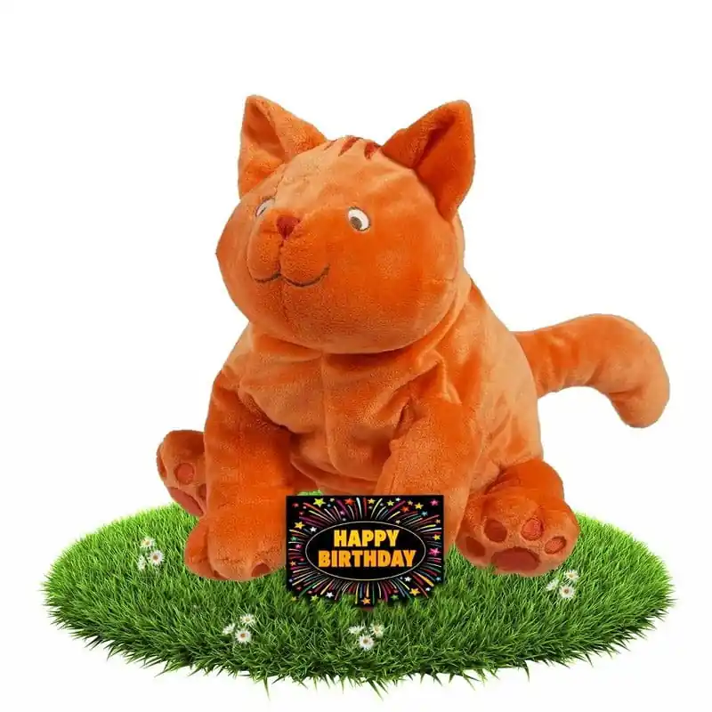 Actieprijs Dikkie Dik knuffel - 43 cm - verjaardagscadeau - gratis kaart