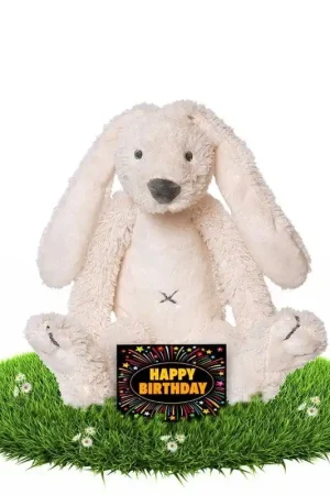 Gereduceerde Prijs Verjaardag knuffel konijn - pluche - 28 cm - met kaart