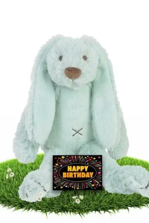 Meest Verkocht Verjaardag knuffel konijn Richie - pluche - mintgroen - 28 cm