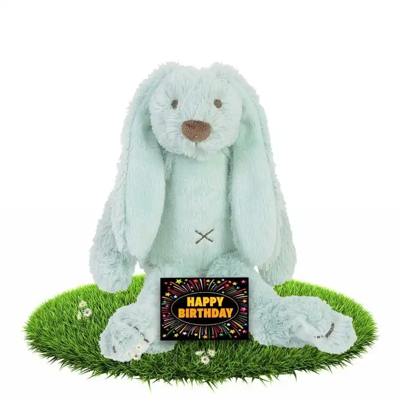 Meest Verkocht Verjaardag knuffel konijn Richie - pluche - mintgroen - 28 cm