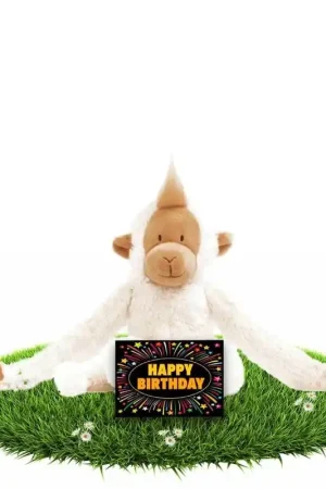 Verjaardag knuffel aapje - pluche - 23 cm - cadeau Rechtstreeks Van De Fabrikant