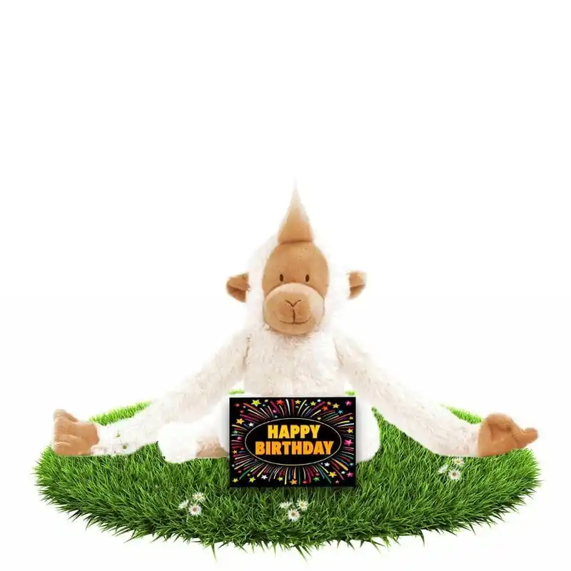 Verjaardag knuffel aapje - pluche - 23 cm - cadeau Rechtstreeks Van De Fabrikant