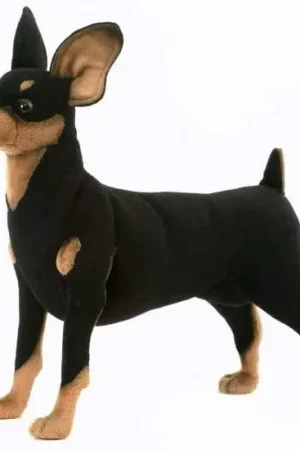 Laatste Kans Hansa Pincher knuffel - pluche hond - 43 cm