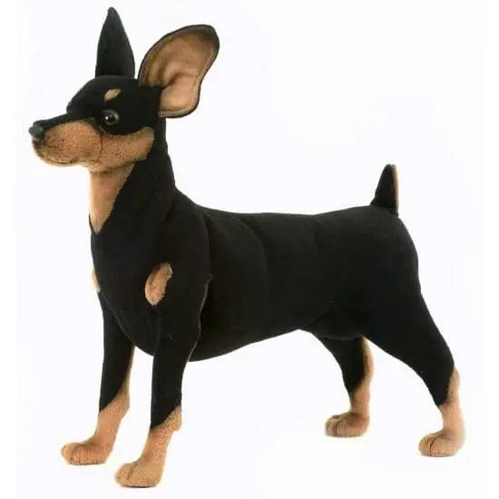 Laatste Kans Hansa Pincher knuffel - pluche hond - 43 cm